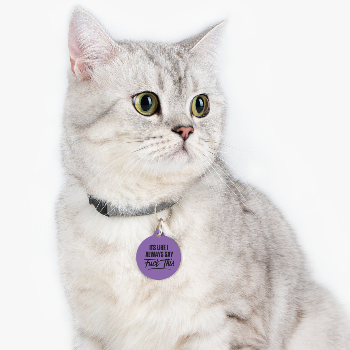 *PURPLE*It's Like I Always Say, Fuck This Pet Tag - Unique Dog & Cat ID Tag