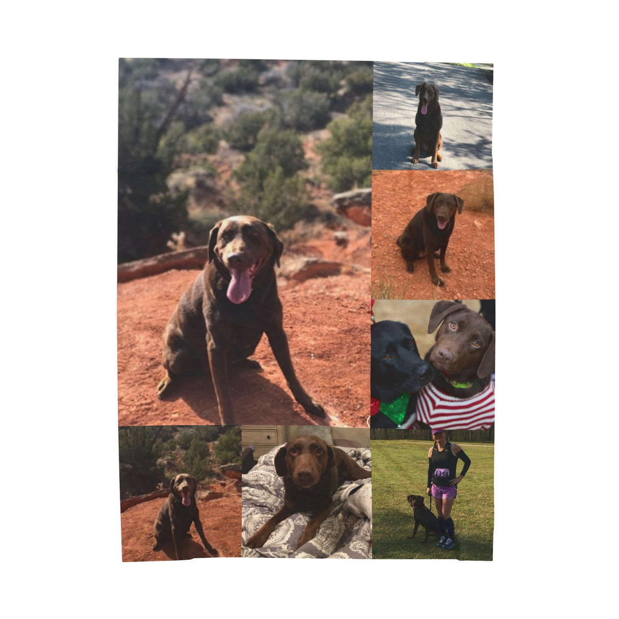 Custom Pet Photo Velveteen Plush Blanket - Cozy Keepsake for Dog Lovers