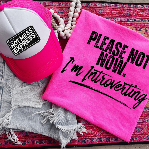 ***BUY INDIVIDUALLY***Please Not Now, I Am Introverting" Tee + Matching Shorts & "Hot Mess Express" Trucker Hat
