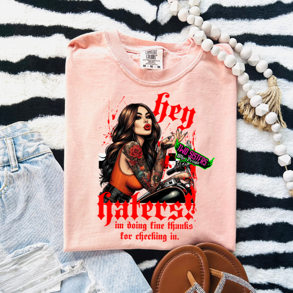 Hey Haters, I am Fine Thanks for Checking In- Black Tee or Peach Color TShirt, Sweatshirt, or Hoodie