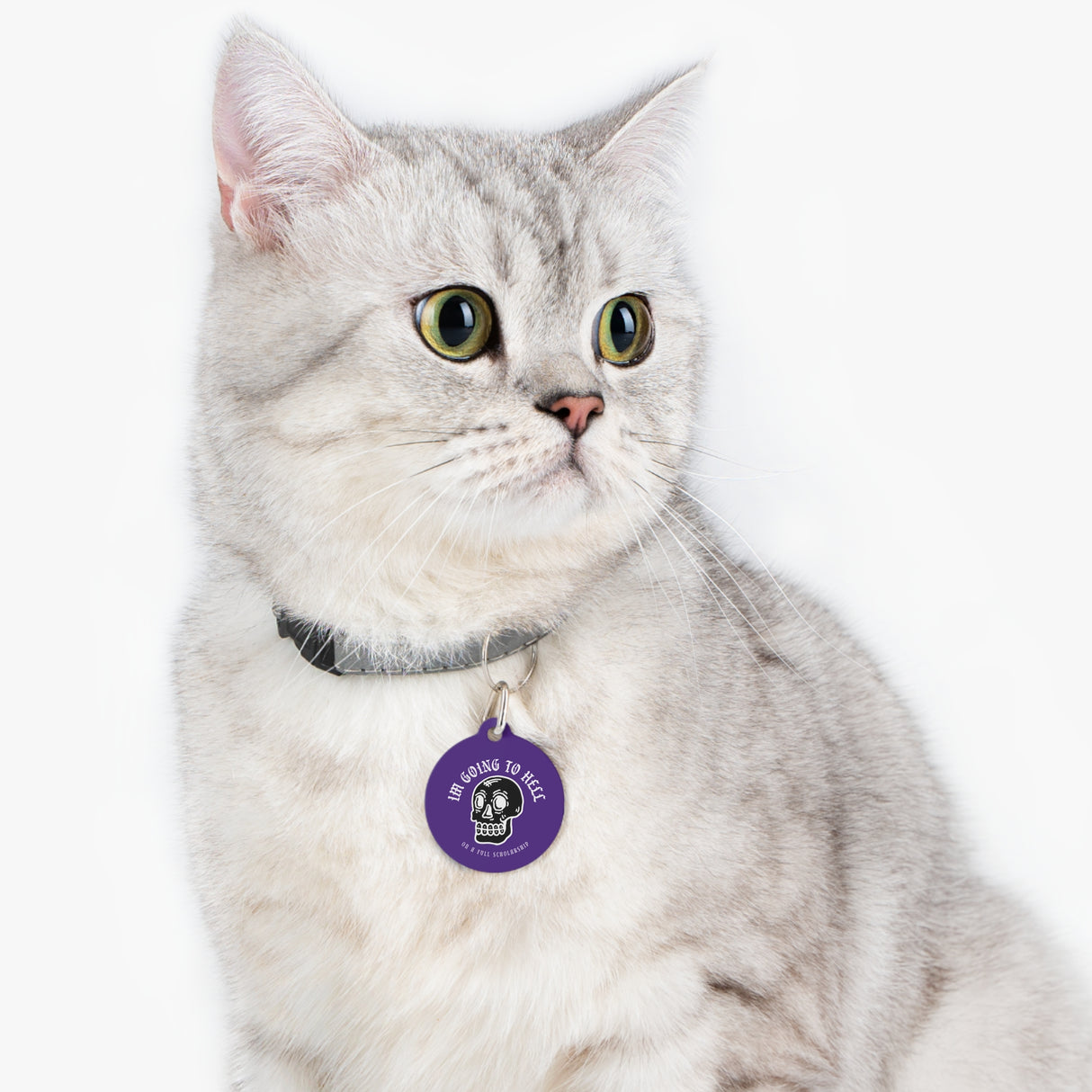 *PURPLE*I'm Going to Hell On a Full Scholarship Pet Tag - Unique Dog & Cat ID Tag