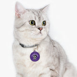 *PURPLE*I'm Going to Hell On a Full Scholarship Pet Tag - Unique Dog & Cat ID Tag