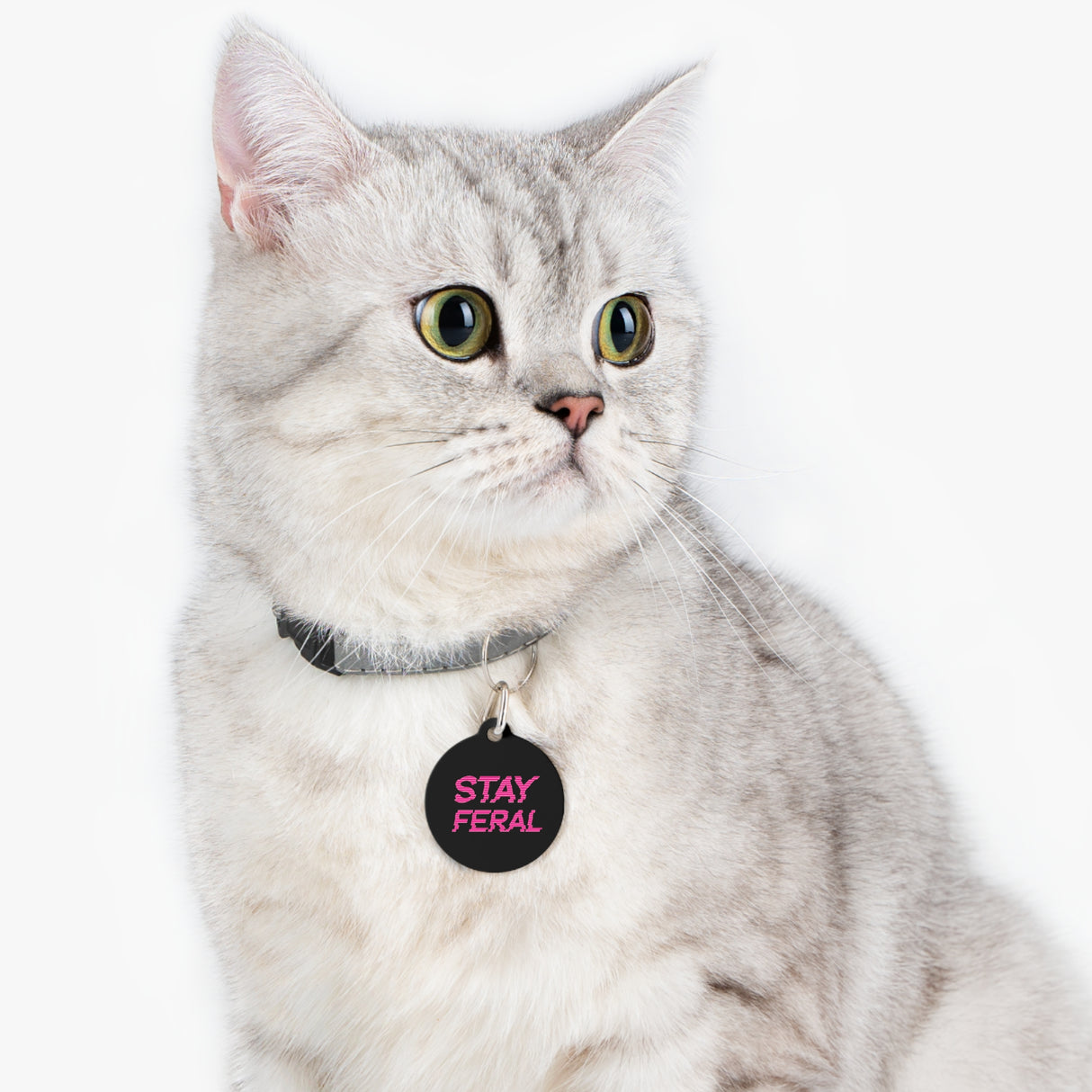 *BLACK*Stay Feral Pet Tag - Unique Dog & Cat ID Tag