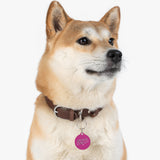 *HOT PINK*Feral as Fuck Pet Tag - Unique Dog & Cat ID Tag