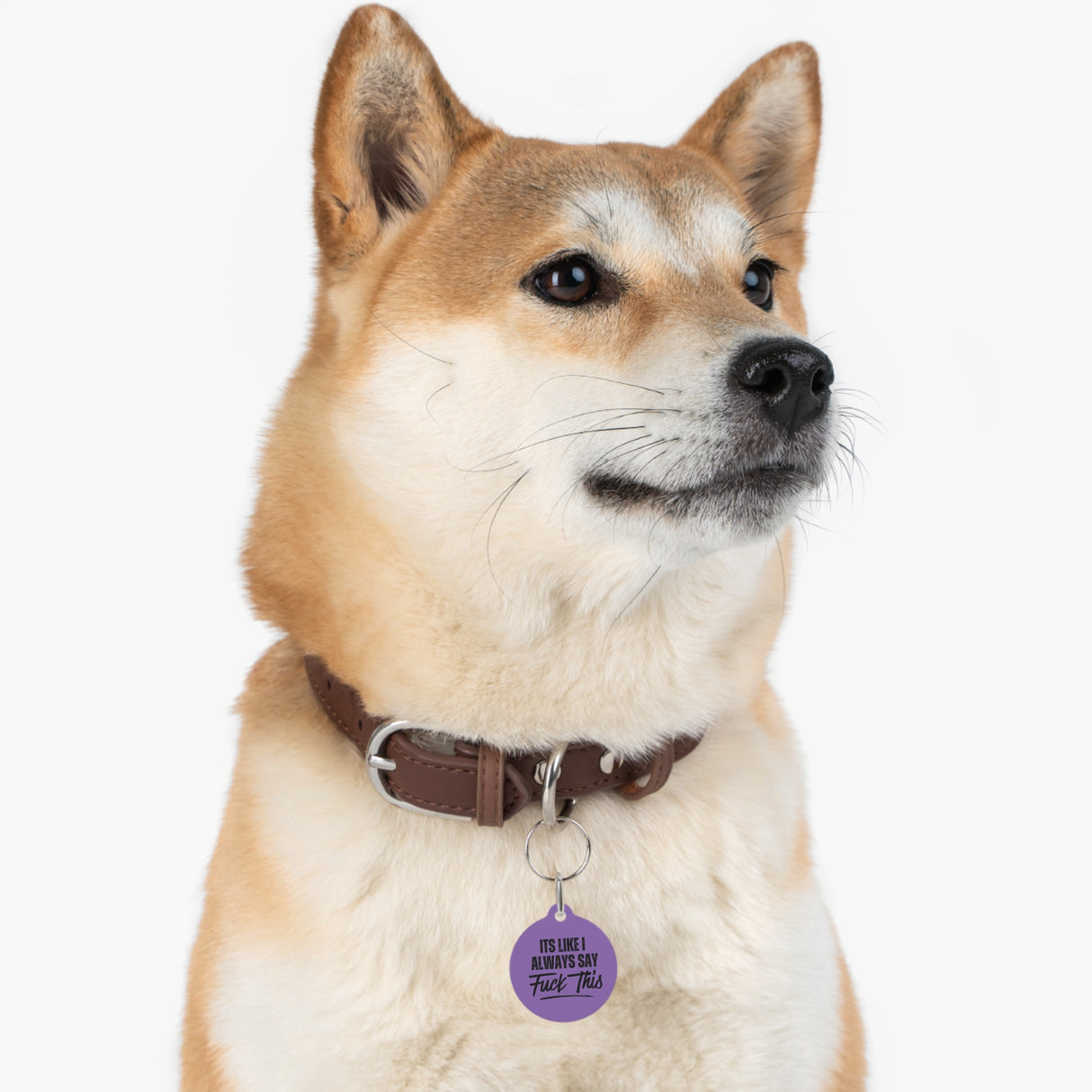 *PURPLE*It's Like I Always Say, Fuck This Pet Tag - Unique Dog & Cat ID Tag
