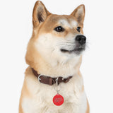 *RED* Feral as Fuck Pet Tag - Unique Dog & Cat ID Tag