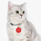 *RED* Feral as Fuck Pet Tag - Unique Dog & Cat ID Tag