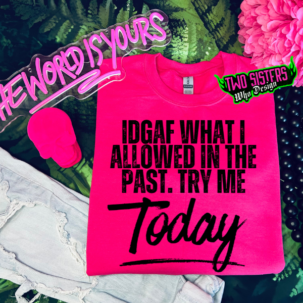 IDGAF What I Allowed In the Past, Try Me Today Heliconia TShirt or Heliconia Sweatshirt